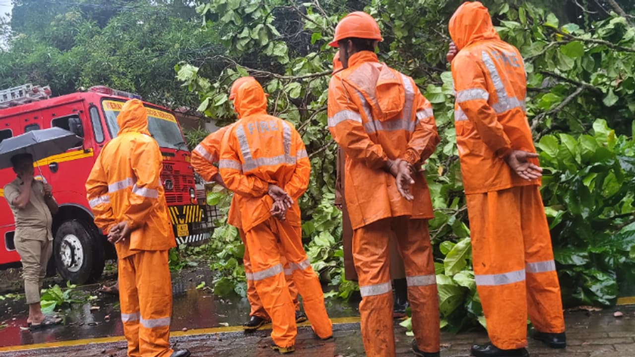 കാറ്റടിച്ച് സമീപത്തെ വൈദ്യുതി പോസ്റ്റിൽ തീ, ഓടി വീട്ടിൽക്കയറി; തലനാരിഴക്ക് രക്ഷപ്പെട്ടത് 7 ാം ക്ലാസുകാരൻ