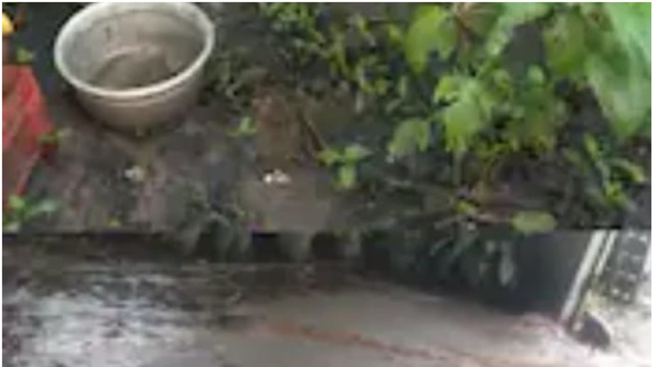 ദേശീയ പാതയിലെ വിണ്ടുകീറിയ ഭാഗത്തൊഴിച്ച ടാർ കനത്ത മഴയിൽ വീട്ടിലേക്ക് ഒഴുകിയെത്തി, പരിഹാരം ഉറപ്പ് നൽകി കമ്പനി