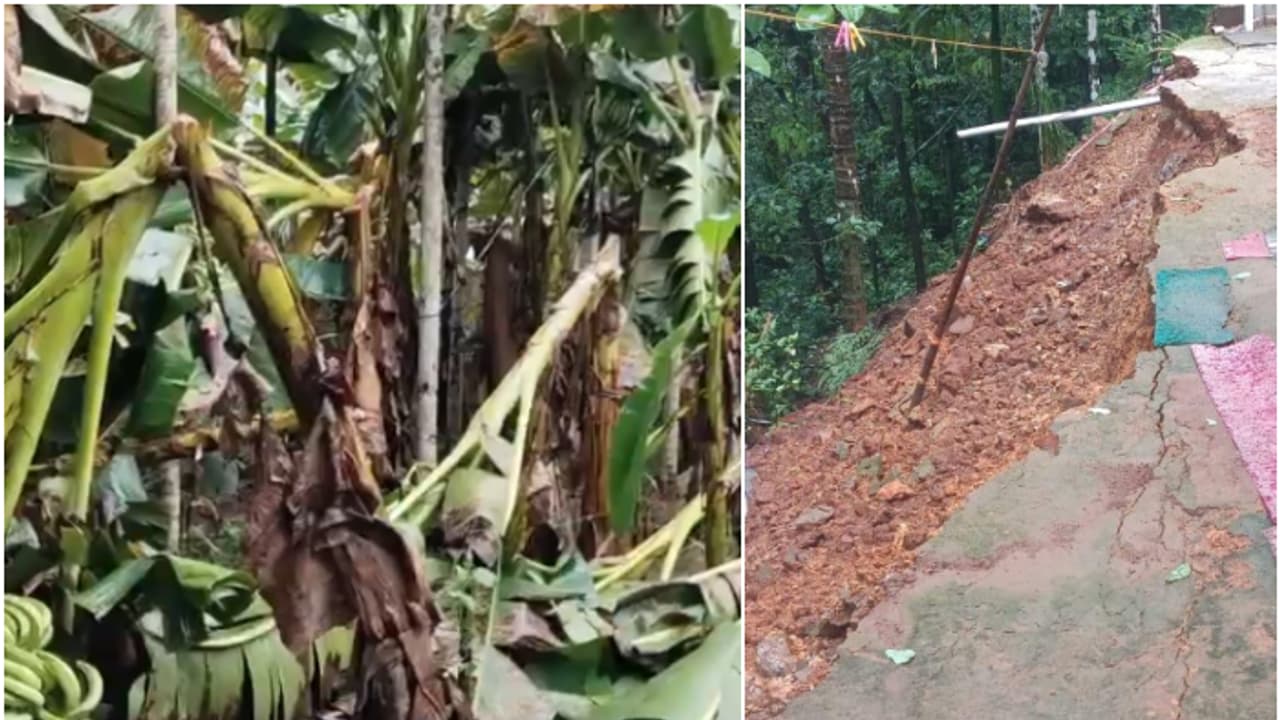 കോഴിക്കോട് ശക്തമായ കാറ്റിലും മഴയിലും മലയോര മേഖലകളില് വ്യാപക നാശനഷ്ടം കോഴിക്കോട് ശക്തമായ കാറ്റിലും മഴയിലും മലയോര മേഖലകളില് വ്യാപക നാശനഷ്ടം