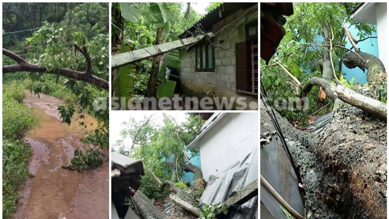 കേരളത്തിൽ കാലവർഷമെത്തി, മഴക്കെടുതിയും തുടങ്ങി, മഴയും കാറ്റും ശക്തം, വീടുകൾ തകർന്നു, ജാഗ്രതാ നിർദ്ദേശം