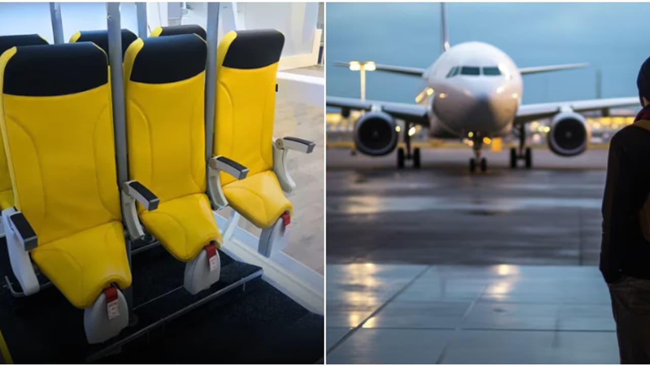 അമ്പോ, ഇനി വിമാനത്തിൽ നിന്നും യാത്ര ചെയ്യാം! പ്രത്യേകതകളേറെ; കിടിലൻ വെറൈറ്റി സീറ്റുമായി ഇറ്റാലിയൻ കമ്പനി അമ്പോ, ഇനി വിമാനത്തിൽ നിന്നും യാത്ര ചെയ്യാം! പ്രത്യേകതകളേറെ; കിടിലൻ വെറൈറ്റി സീറ്റുമായി ഇറ്റാലിയൻ കമ്പനി