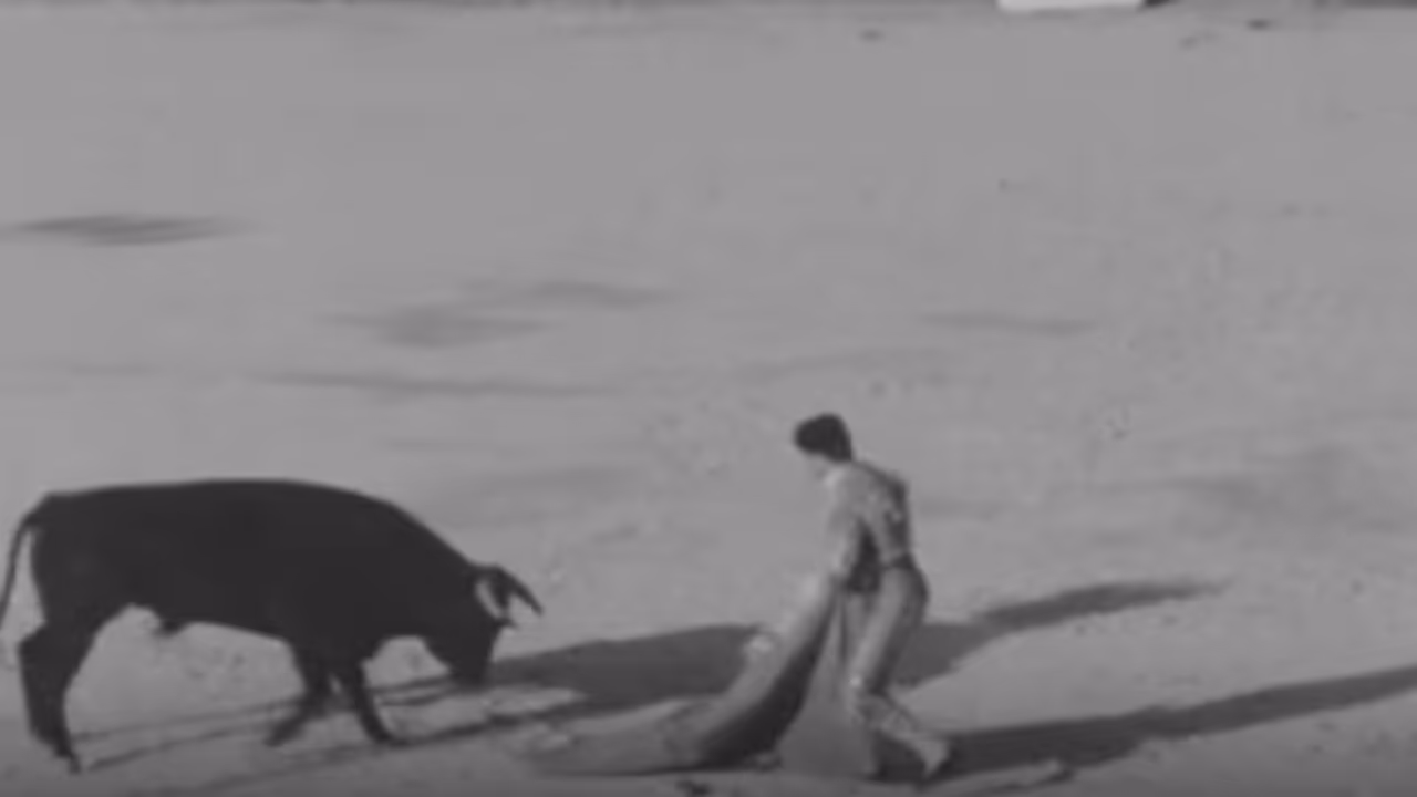 കുവൈത്തിന്റെ ഹൃദയഭാഗത്ത് ചരിത്രത്തിലെ ആദ്യത്തെയും അവസാനത്തെയും കാളപ്പോര് നടന്നിട്ട് 53 വർഷങ്ങൾ കുവൈത്തിന്റെ ഹൃദയഭാഗത്ത് ചരിത്രത്തിലെ ആദ്യത്തെയും അവസാനത്തെയും കാളപ്പോര് നടന്നിട്ട് 53 വർഷങ്ങൾ