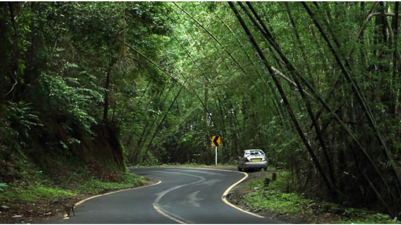 റെഡ് അലര്ട്ട്; നിലമ്പൂര് നാടുകാണി ചുരം വഴി രാത്രി അനാവശ്യ യാത്ര പാടില്ല, മുന്നറിയിപ്പുമായി ജില്ലാ കളക്ടർ റെഡ് അലര്ട്ട്; നിലമ്പൂര് നാടുകാണി ചുരം വഴി രാത്രി അനാവശ്യ യാത്ര പാടില്ല, മുന്നറിയിപ്പുമായി ജില്ലാ കളക്ടർ