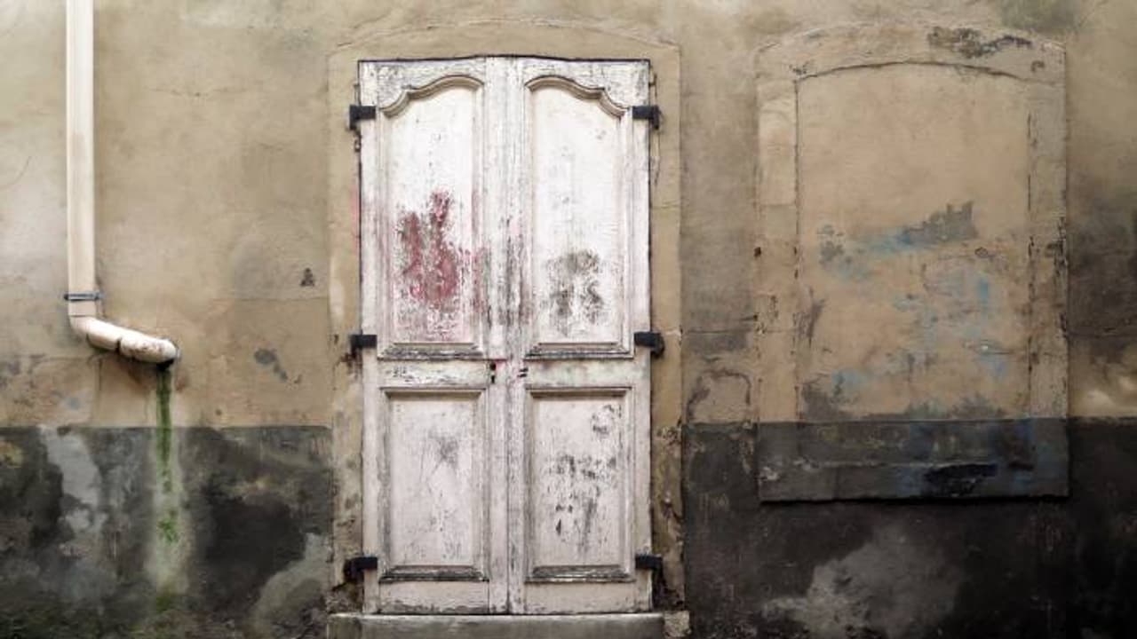 അവഗണിക്കപ്പെട്ട നിലയിൽ 47 മൃഗങ്ങൾ, അവയ്ക്കിടയിൽ എട്ടുമാസം പ്രായമുള്ള പിഞ്ചുകുഞ്ഞ്