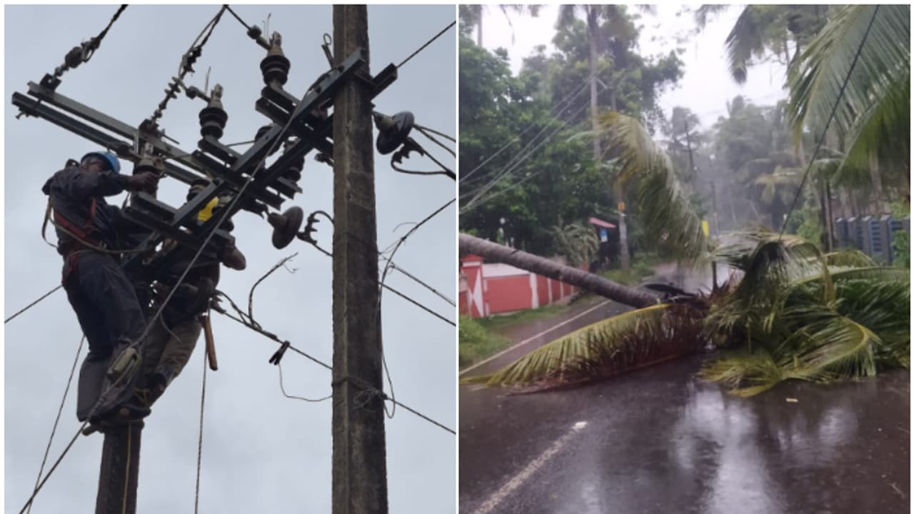 കാലവര്‍ഷം; കെഎസ്ഇബിക്ക് വൻനാശനഷ്ടം, തകര്‍ന്നത് പതിനായിരത്തിലധികം ഇലക്ട്രിക് പോസ്റ്റുകൾ, 120 കോടിയുടെ നഷ്ടം