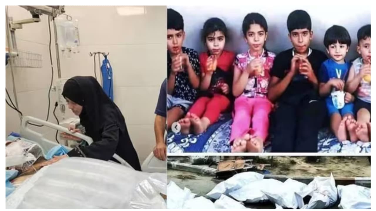 പത്തിൽ 9 കുഞ്ഞുങ്ങളും കൊല്ലപ്പെട്ടു, ഗാസയിൽ ഡോക്ടറായ അമ്മയുടെ മുന്നിലെത്തിയത് സ്വന്തം കുട്ടികളുടെ മൃതദേഹം പത്തിൽ 9 കുഞ്ഞുങ്ങളും കൊല്ലപ്പെട്ടു, ഗാസയിൽ ഡോക്ടറായ അമ്മയുടെ മുന്നിലെത്തിയത് സ്വന്തം കുട്ടികളുടെ മൃതദേഹം