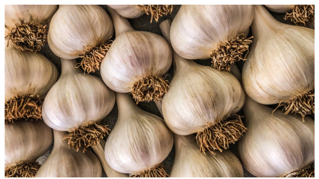 വെളുത്തുള്ളി മാസങ്ങളോളം കേടുവരാതിരിക്കാൻ ഇതാ ചില പൊടിക്കൈകൾ വെളുത്തുള്ളി മാസങ്ങളോളം കേടുവരാതിരിക്കാൻ ഇതാ ചില പൊടിക്കൈകൾ