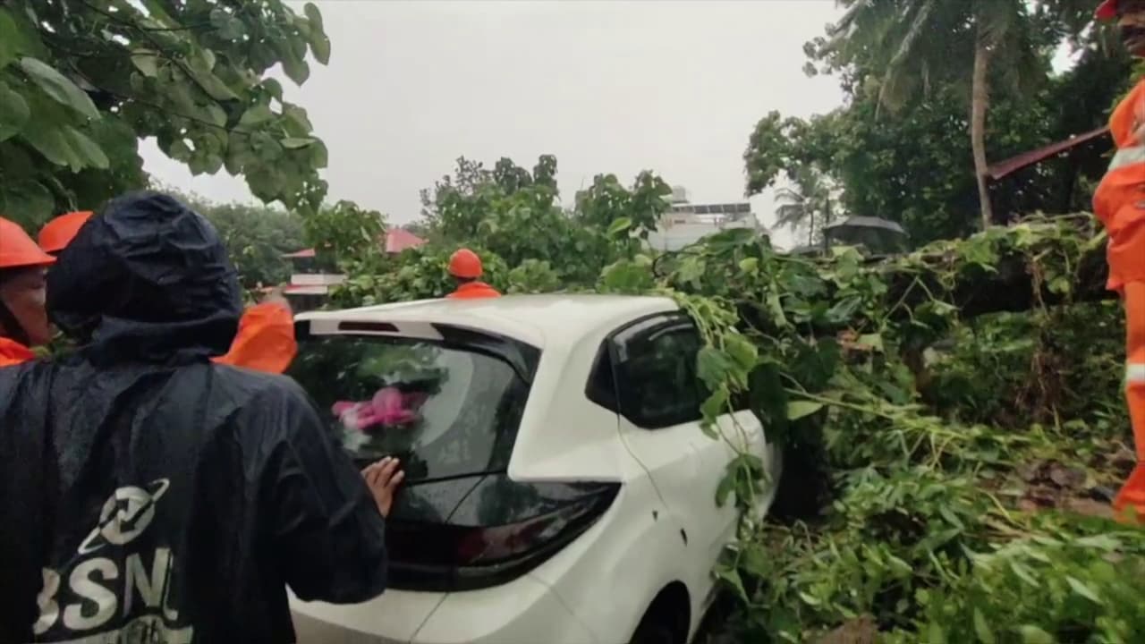 ഓടുന്ന കാറിന് മുകളിൽ മരം വീണു, നാലംഗ കുടുംബം രക്ഷപ്പെട്ടത് തലനാരിഴക്ക് 