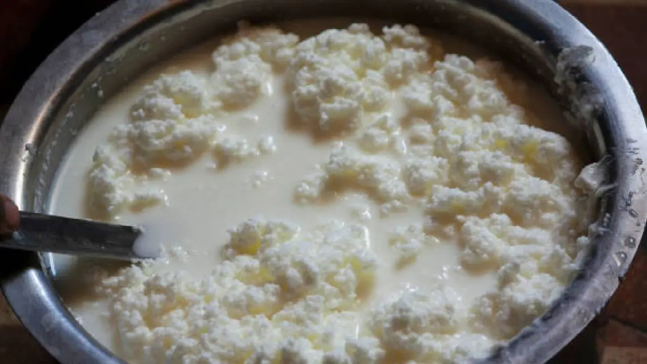 curdled milk curdled milk