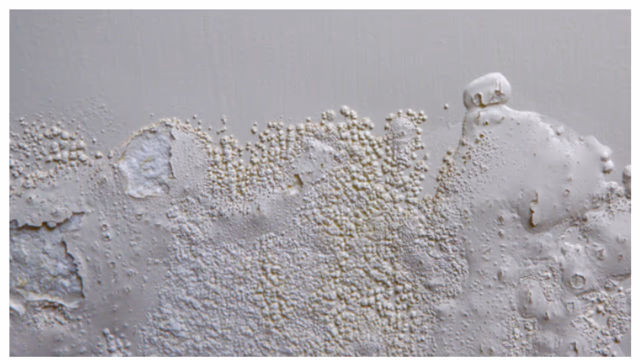 മഴക്കാലമെത്തി, വീടിനുള്ളിൽ ഈർപ്പം തങ്ങി നിൽക്കുന്നുണ്ടോ? എങ്കിൽ ഈ 5 കാര്യങ്ങൾ ശ്രദ്ധിക്കൂ മഴക്കാലമെത്തി, വീടിനുള്ളിൽ ഈർപ്പം തങ്ങി നിൽക്കുന്നുണ്ടോ? എങ്കിൽ ഈ 5 കാര്യങ്ങൾ ശ്രദ്ധിക്കൂ