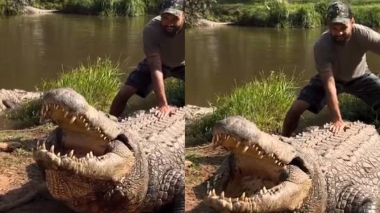 ഒരുകാലത്ത് ആളുകളുടെ പേടിസ്വപ്നം, ഇന്ന് മര്യാദക്കാരൻ, 124 വയസ്സായ ഒരു മുതല