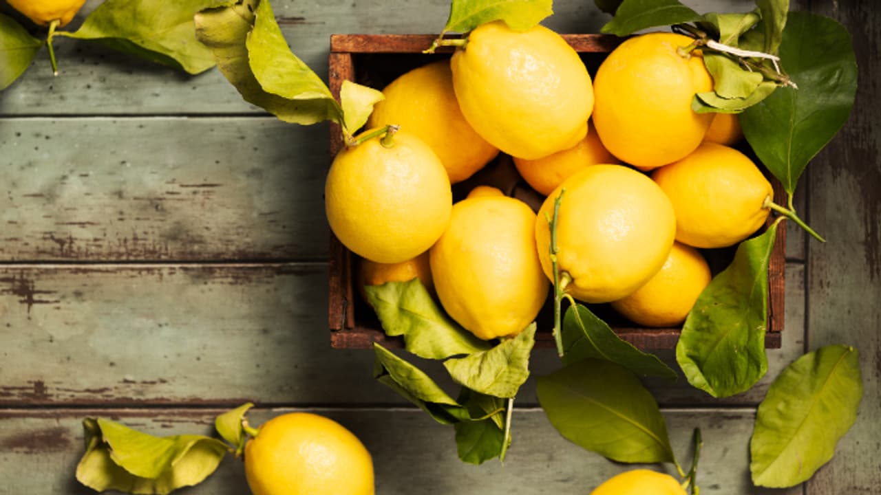 നാരങ്ങയെക്കാള് വിറ്റാമിന് സി അടങ്ങിയ ഏഴ് പഴങ്ങള് നാരങ്ങയെക്കാള് വിറ്റാമിന് സി അടങ്ങിയ ഏഴ് പഴങ്ങള്