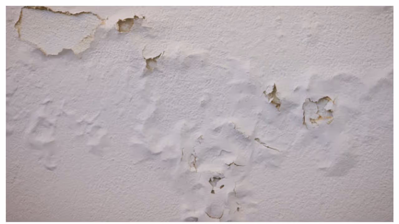 പൂപ്പലും പായലും പിടിച്ച് വീട് വൃത്തികേടായോ? എങ്കിൽ ഇക്കാര്യങ്ങൾ ശ്രദ്ധിക്കൂ