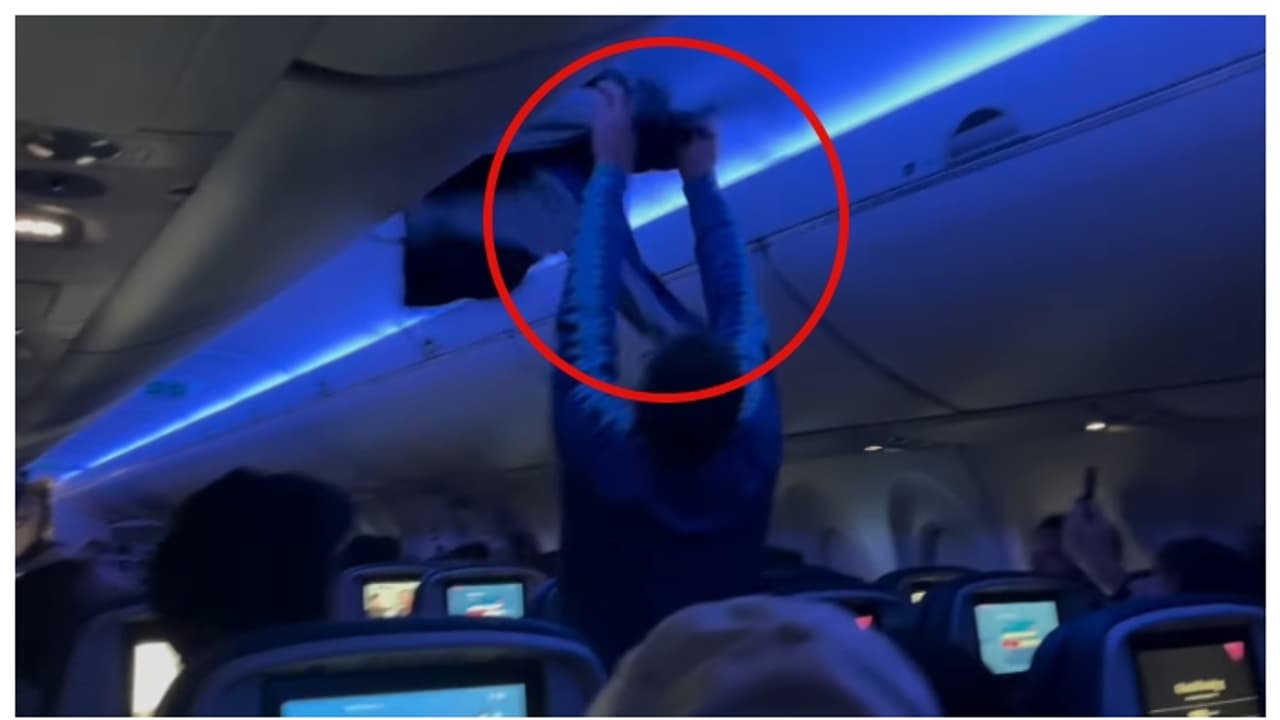 വിമാനത്തിനുള്ളില് പറന്ന് കളിച്ച് ഇണ പ്രാവുകൾ, വൈകിയത് ഒരു മണിക്കൂറോളം; വീഡിയോ വൈറല് വിമാനത്തിനുള്ളില് പറന്ന് കളിച്ച് ഇണ പ്രാവുകൾ, വൈകിയത് ഒരു മണിക്കൂറോളം; വീഡിയോ വൈറല്