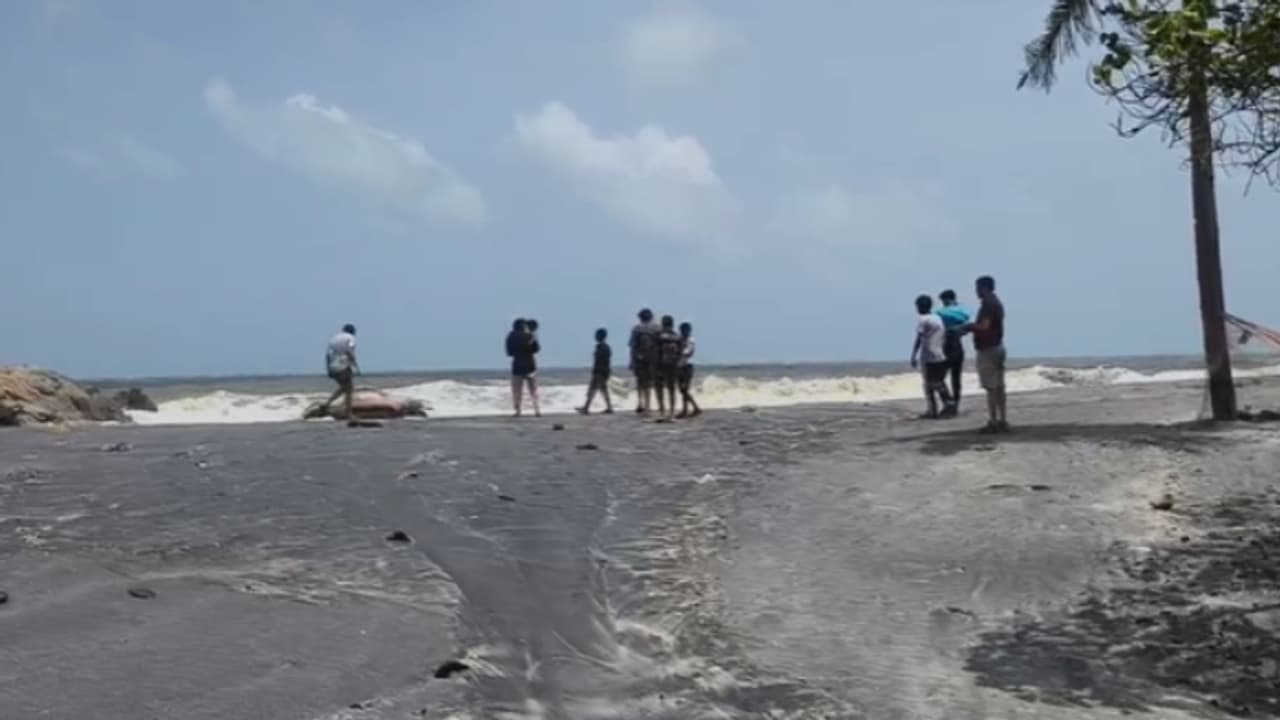 തറയിൽ കടവിൽ കണ്ടെയ്നർ അടിഞ്ഞതിന്റെ സമീപം ഡോൾഫിന്റെ ജഡം