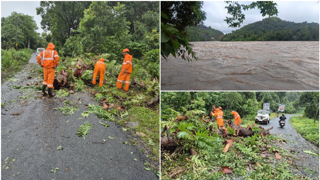മഴക്കെടുതി; മൂന്നാർ ഗ്യാപ്പ് റോഡിൽ രാത്രികാല ഗതാഗത നിരോധനം, ഇടുക്കിയിൽ 25 വീടുകള് തകര്ന്നു മഴക്കെടുതി; മൂന്നാർ ഗ്യാപ്പ് റോഡിൽ രാത്രികാല ഗതാഗത നിരോധനം, ഇടുക്കിയിൽ 25 വീടുകള് തകര്ന്നു