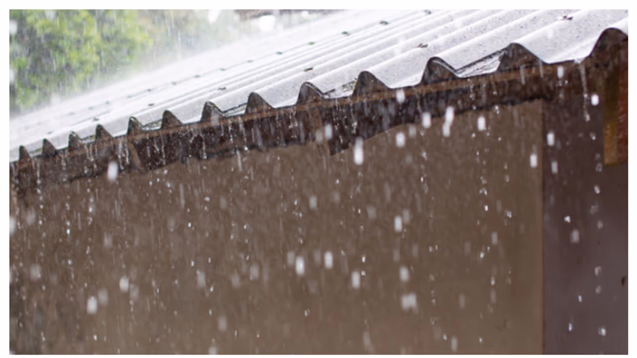 മഴ തിമിർത്ത് പെയ്യുന്നു; സംസ്ഥാനത്ത് 6 ജില്ലകളിൽ വിദ്യാഭ്യാസ സ്ഥാപനങ്ങൾക്ക് അവധി പ്രഖ്യാപിച്ചു മഴ തിമിർത്ത് പെയ്യുന്നു; സംസ്ഥാനത്ത് 6 ജില്ലകളിൽ വിദ്യാഭ്യാസ സ്ഥാപനങ്ങൾക്ക് അവധി പ്രഖ്യാപിച്ചു