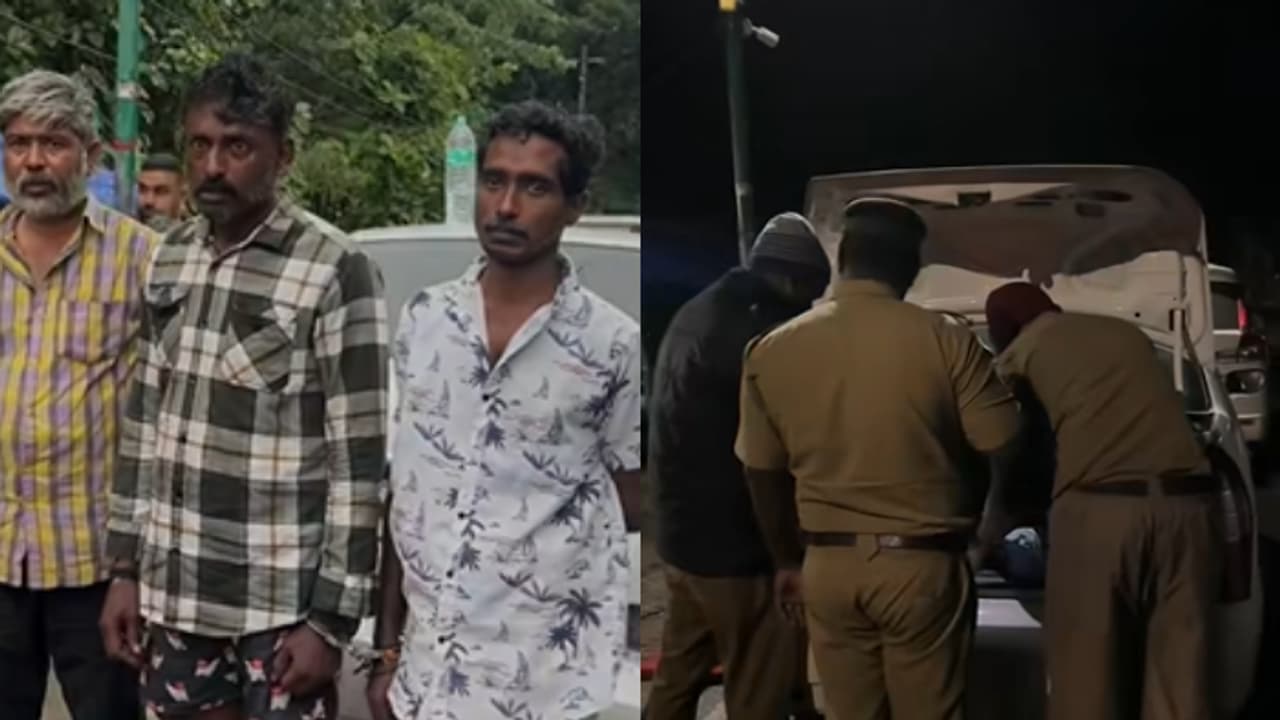 ഓപ്പറേഷൻ ക്ലീൻ സ്ലേറ്റിന്റെ ഭാഗമായി നടന്ന പരിശോധന; ആര്യങ്കാവ് എക്സൈസ് ചെക്ക്പോസ്റ്റിൽ കഞ്ചാവ് പിടികൂടി ഓപ്പറേഷൻ ക്ലീൻ സ്ലേറ്റിന്റെ ഭാഗമായി നടന്ന പരിശോധന; ആര്യങ്കാവ് എക്സൈസ് ചെക്ക്പോസ്റ്റിൽ കഞ്ചാവ് പിടികൂടി