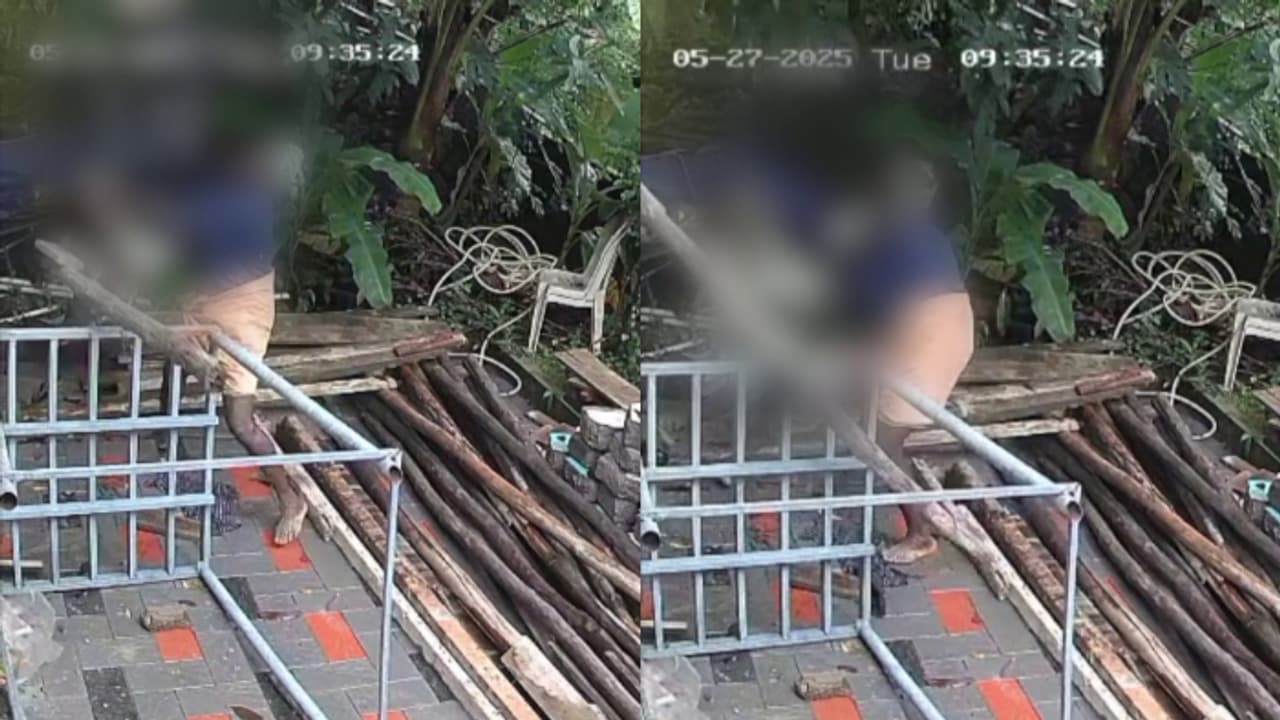 കൊല്ലം പുനലൂരിൽ വീട് പണിക്കിടെ രണ്ടാം നിലയിൽ നിന്ന് താഴെ വീണു;തൊഴിലാളിയെ അത്ഭുതകരമായി രക്ഷപ്പെടുത്തി കരാറുകാരൻ കൊല്ലം പുനലൂരിൽ വീട് പണിക്കിടെ രണ്ടാം നിലയിൽ നിന്ന് താഴെ വീണു;തൊഴിലാളിയെ അത്ഭുതകരമായി രക്ഷപ്പെടുത്തി കരാറുകാരൻ