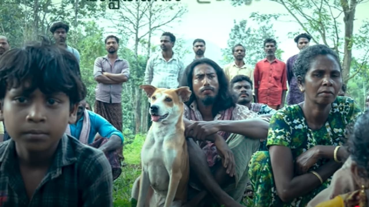 മായു മായു മായു മായു മണ്ണെ..; ജേക്സ് ബിജോയ് ഒരുക്കിയ 'നരിവേട്ട'യിലെ ​പുതിയ ​ഗാനം എത്തി