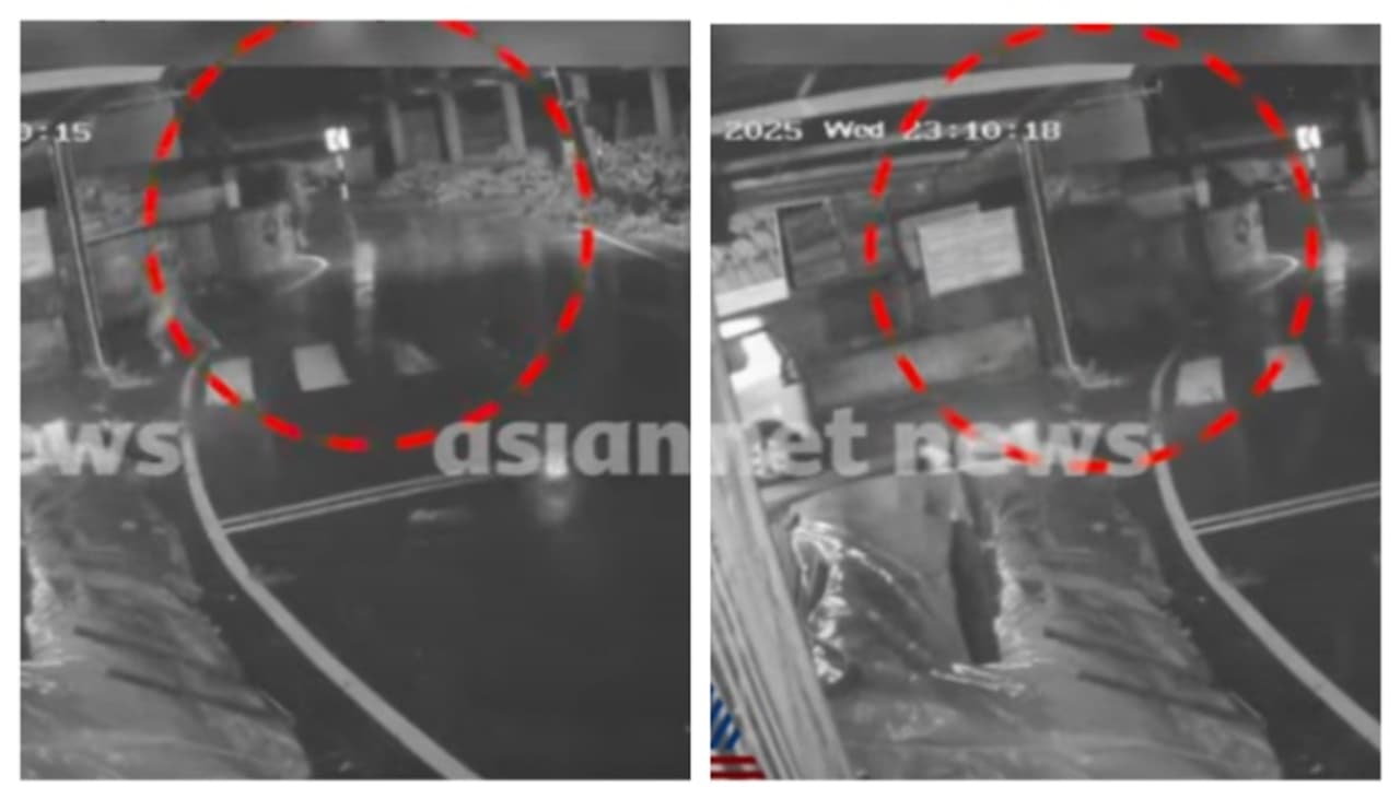 ഒന്നും നോക്കിയില്ല, ജീവൻ കയ്യിലെടുത്തോടി, കാട്ടാനയിൽ നിന്ന് കുട്ടികള്‍ രക്ഷപ്പെട്ടത് തലനാരിഴയ്ക്ക്, ദൃശ്യങ്ങൾ