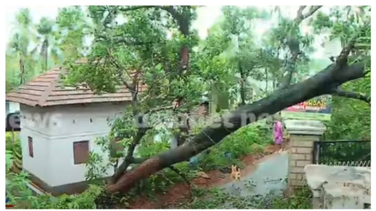 കനത്ത മഴ തുടരുന്നു, റെഡ് അലർട്ട്, വിദ്യാഭ്യാസ സ്ഥാപനങ്ങൾക്ക് നാളെ അവധി പ്രഖ്യാപിച്ച് കണ്ണൂർ കളക്ടർ കനത്ത മഴ തുടരുന്നു, റെഡ് അലർട്ട്, വിദ്യാഭ്യാസ സ്ഥാപനങ്ങൾക്ക് നാളെ അവധി പ്രഖ്യാപിച്ച് കണ്ണൂർ കളക്ടർ