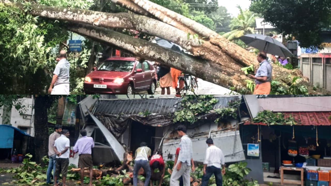 ചുഴലിക്കാറ്റിൽ മാന്നാറിൽ വ്യാപക നാശം; നിരവധി വീടുകൾ തകർന്നു, വൈദ്യുത ലൈനുകൾ പൊട്ടിവീണു