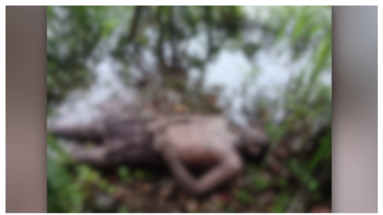 കൊച്ചിയിൽ പാടശേഖരത്തിലെ വെള്ളക്കെട്ടിൽ വീണ് യുവാവ് മരിച്ചു കൊച്ചിയിൽ പാടശേഖരത്തിലെ വെള്ളക്കെട്ടിൽ വീണ് യുവാവ് മരിച്ചു