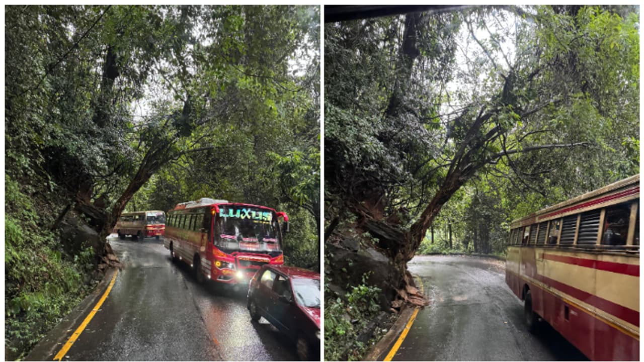 യാത്രക്കാരും ചുരം സംരക്ഷണ സമിതിയും ആവശ്യപ്പെട്ടു; താമരശ്ശേരി ചുരത്തിലെ അപകടകരമായ മരങ്ങൾ മുറിച്ചുമാറ്റും യാത്രക്കാരും ചുരം സംരക്ഷണ സമിതിയും ആവശ്യപ്പെട്ടു; താമരശ്ശേരി ചുരത്തിലെ അപകടകരമായ മരങ്ങൾ മുറിച്ചുമാറ്റും