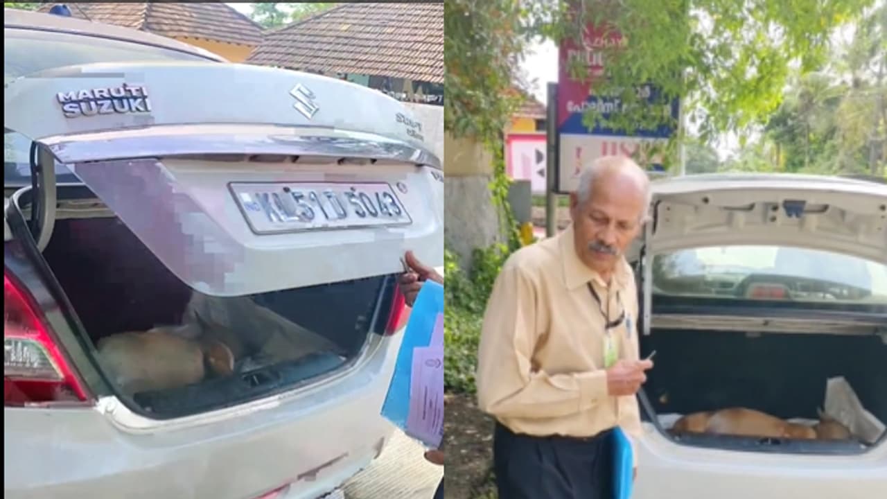 നായയുടെ അഴുകിയ ജഡം സ്വന്തം കാറിൽ കയറ്റി പഴയന്നൂര് പൊലീസ് സ്റ്റേഷനിൽ, ആവശ്യമാകട്ടെ വിചിത്രം, പിന്നാലെ കേസ് നായയുടെ അഴുകിയ ജഡം സ്വന്തം കാറിൽ കയറ്റി പഴയന്നൂര് പൊലീസ് സ്റ്റേഷനിൽ, ആവശ്യമാകട്ടെ വിചിത്രം, പിന്നാലെ കേസ്