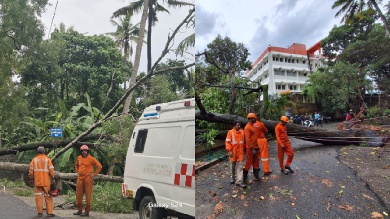 കനത്ത മഴ; കർഷകർക്ക് 22.3 ലക്ഷം രൂപയുടെ നഷ്ടം, തലസ്ഥാനത്ത് ദുരിതാശ്വാസ ക്യാമ്പുകള് തുറന്നു കനത്ത മഴ; കർഷകർക്ക് 22.3 ലക്ഷം രൂപയുടെ നഷ്ടം, തലസ്ഥാനത്ത് ദുരിതാശ്വാസ ക്യാമ്പുകള് തുറന്നു