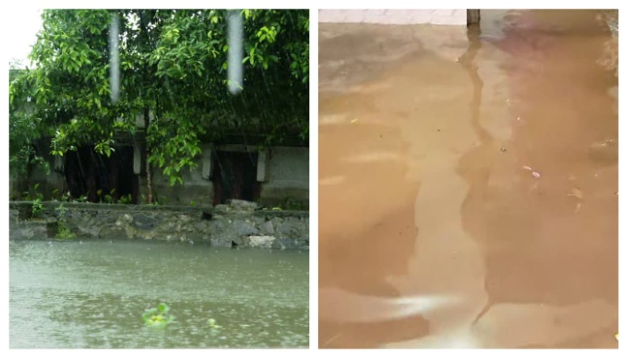 ഒളശ്ശയിൽ കനത്ത മഴയിലെ വെള്ളക്കെട്ടിൽ വീണ് 18കാരനായ വിദ്യാർത്ഥി മരിച്ചു ഒളശ്ശയിൽ കനത്ത മഴയിലെ വെള്ളക്കെട്ടിൽ വീണ് 18കാരനായ വിദ്യാർത്ഥി മരിച്ചു