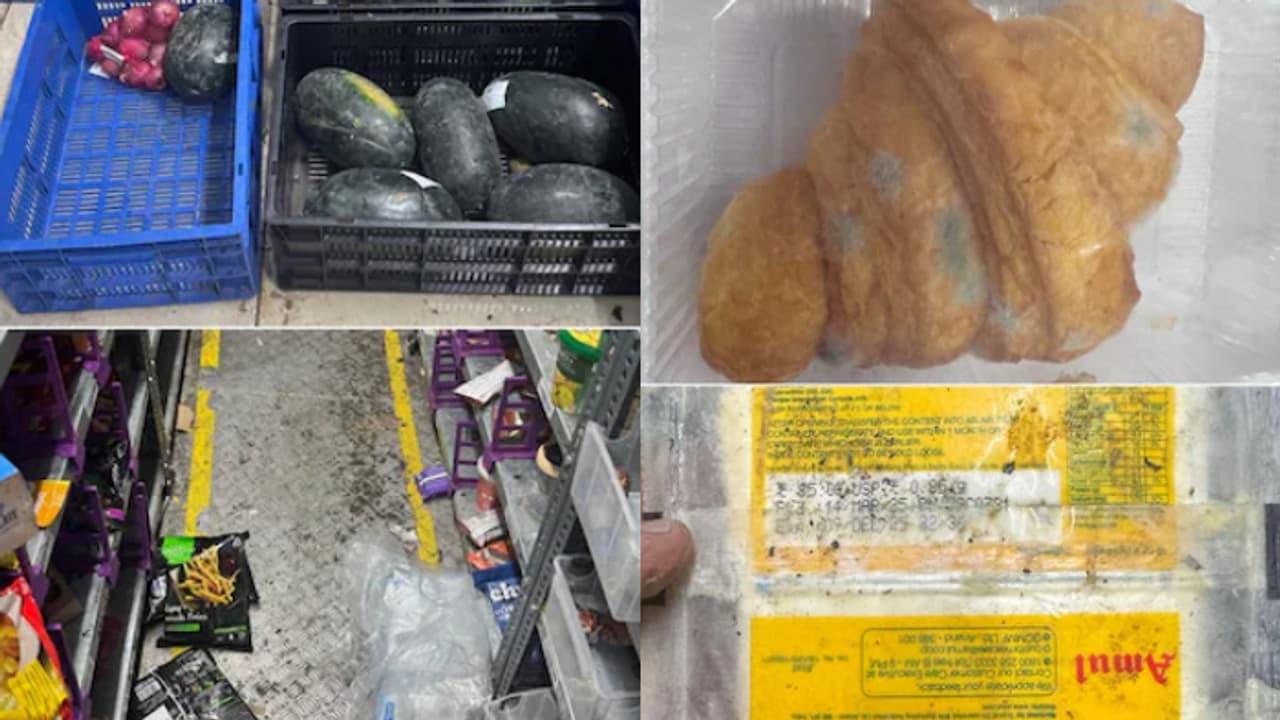 ഫുഡ് പാക്കിൽ പൂപ്പൽ, കെട്ടിക്കിടന്ന വെള്ളം, ദുർഗന്ധം, ഡേറ്റ് കഴിഞ്ഞ ഉൽപ്പന്നം; സെപ്റ്റോയുടെ ലൈസൻസ് റദ്ദാക്കി ഫുഡ് പാക്കിൽ പൂപ്പൽ, കെട്ടിക്കിടന്ന വെള്ളം, ദുർഗന്ധം, ഡേറ്റ് കഴിഞ്ഞ ഉൽപ്പന്നം; സെപ്റ്റോയുടെ ലൈസൻസ് റദ്ദാക്കി