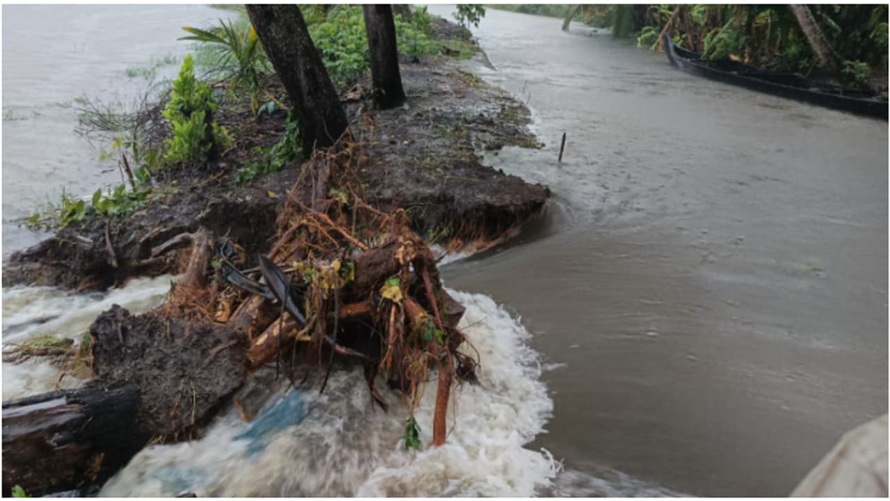 കർഷകർക്ക് കണ്ണീർ, 480 ഏക്കർ വിസ്തൃതിയിലുള്ള വെട്ടിക്കരി പാടത്ത് രണ്ടാം കൃഷിക്കുള്ള ഒരുക്കത്തിനിടെ മട വീണു കർഷകർക്ക് കണ്ണീർ, 480 ഏക്കർ വിസ്തൃതിയിലുള്ള വെട്ടിക്കരി പാടത്ത് രണ്ടാം കൃഷിക്കുള്ള ഒരുക്കത്തിനിടെ മട വീണു