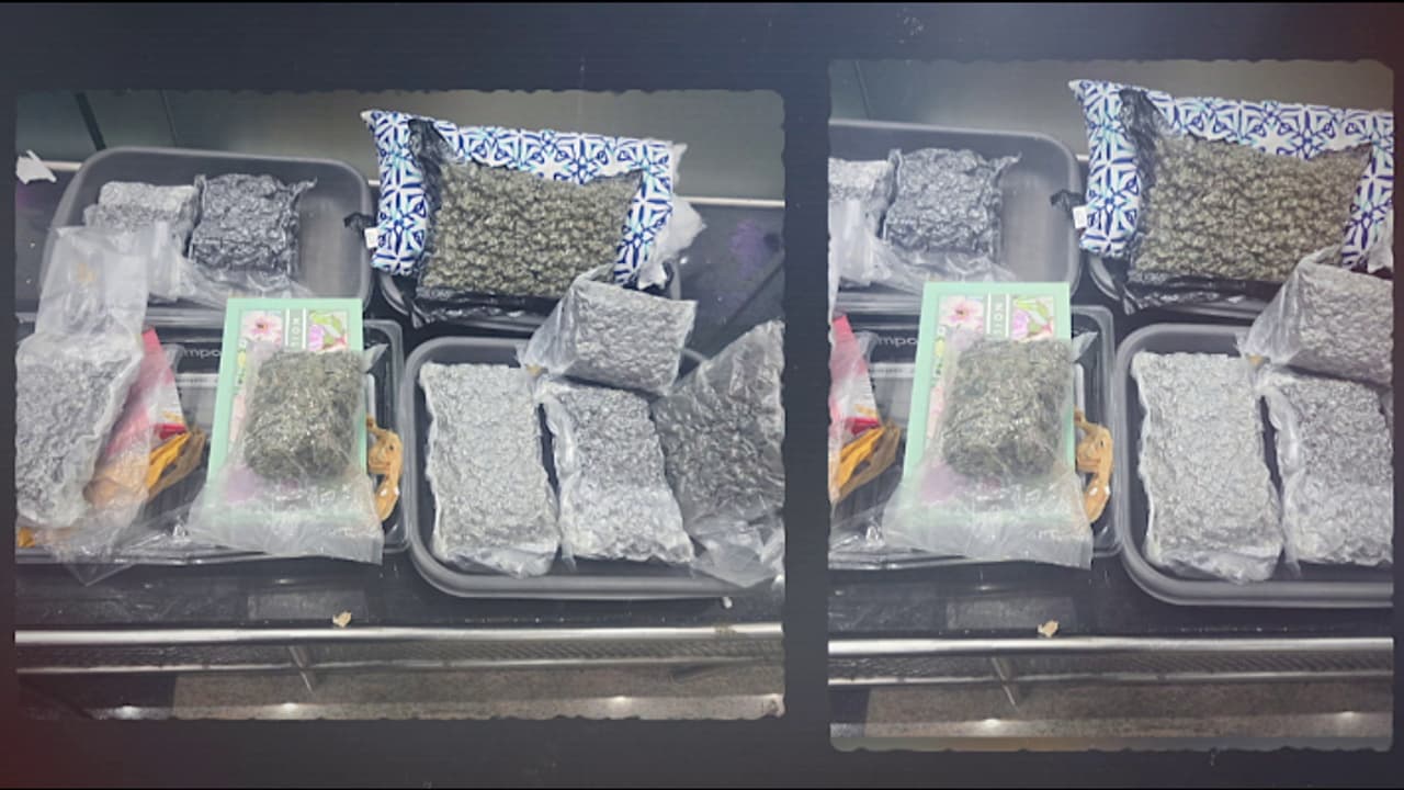 ബാങ്കോക്കിൽ അവധിയാഘോഷിച്ച് യുവാവും യുവതിയും തിരുവനന്തപുരത്ത് വിമാനമിറങ്ങി, 10 കോടിയുടെ കഞ്ചാവുമായി പിടിയിൽ ബാങ്കോക്കിൽ അവധിയാഘോഷിച്ച് യുവാവും യുവതിയും തിരുവനന്തപുരത്ത് വിമാനമിറങ്ങി, 10 കോടിയുടെ കഞ്ചാവുമായി പിടിയിൽ