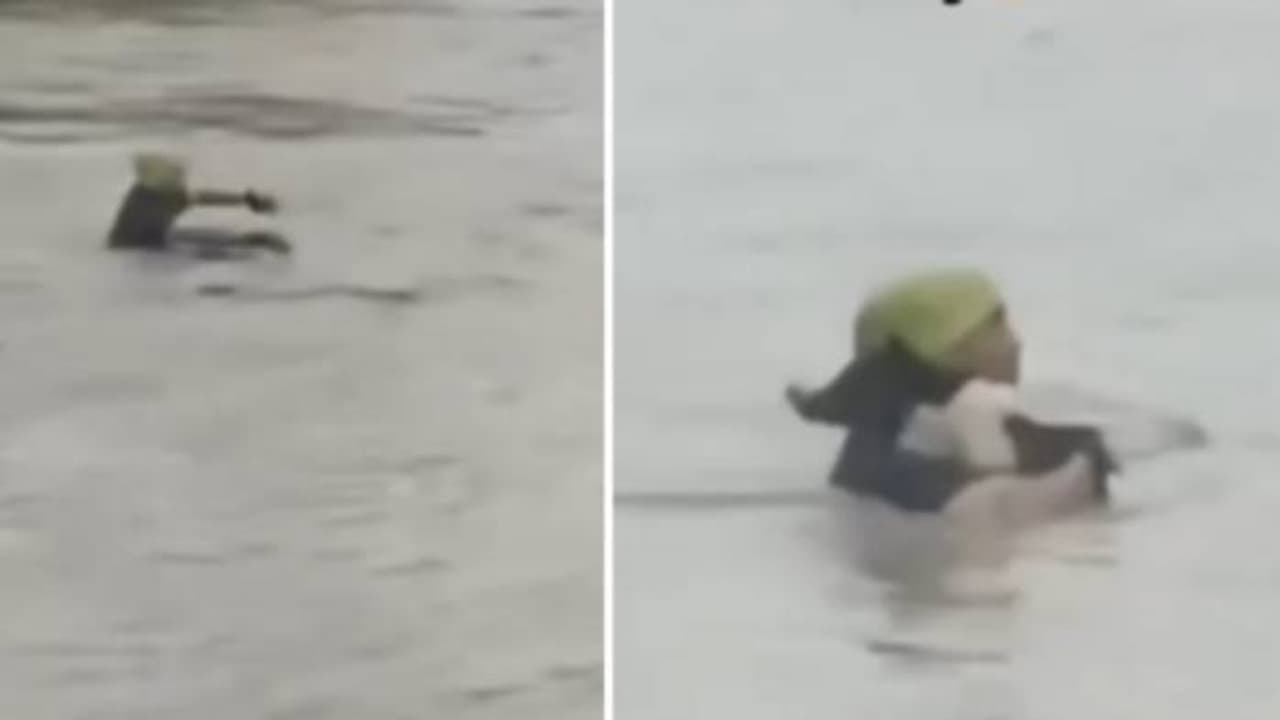 ഒന്നും നോക്കിയില്ല, എടുത്തുചാടി, ഭയന്നുവിറച്ച് വെള്ളത്തിൽ നായ, രക്ഷകനായി യുവാവ്, അഭിനന്ദിച്ച് സോഷ്യൽ മീഡിയ ഒന്നും നോക്കിയില്ല, എടുത്തുചാടി, ഭയന്നുവിറച്ച് വെള്ളത്തിൽ നായ, രക്ഷകനായി യുവാവ്, അഭിനന്ദിച്ച് സോഷ്യൽ മീഡിയ