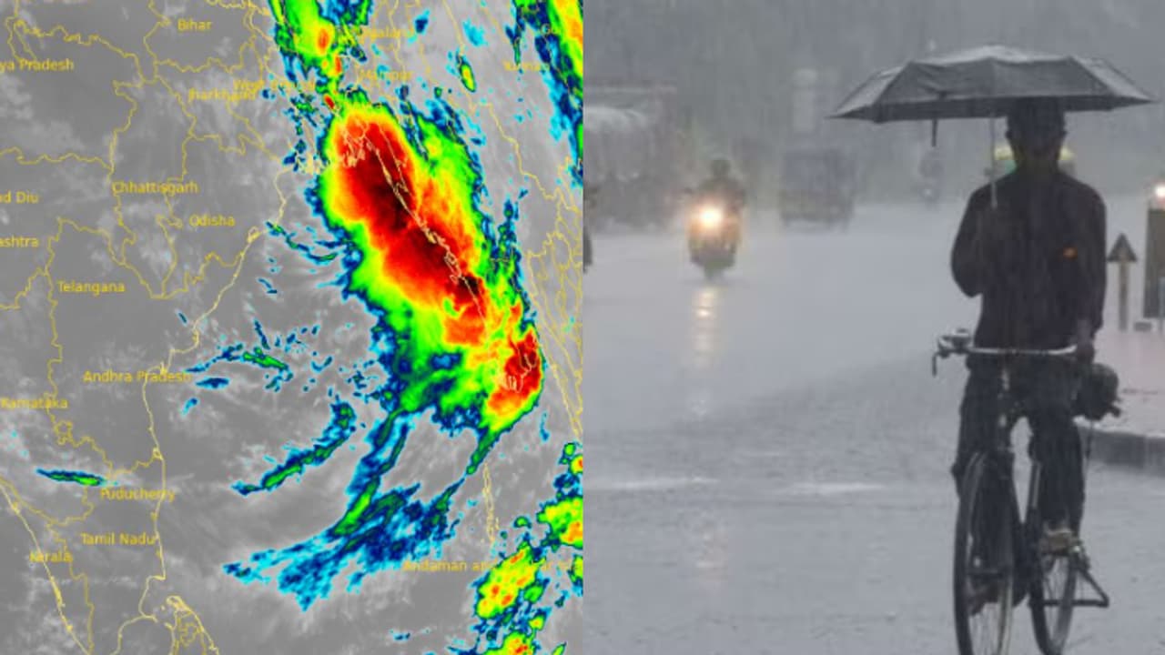 മഴ തുടരും, ആശ്വസിക്കാൻ വരട്ടേ; ഇന്ന് രണ്ട് ജില്ലകളിൽ യെല്ലോ അലർട്ട്, രണ്ട് നദികളിൽ പ്രളയ മുന്നറിയിപ്പ് മഴ തുടരും, ആശ്വസിക്കാൻ വരട്ടേ; ഇന്ന് രണ്ട് ജില്ലകളിൽ യെല്ലോ അലർട്ട്, രണ്ട് നദികളിൽ പ്രളയ മുന്നറിയിപ്പ്