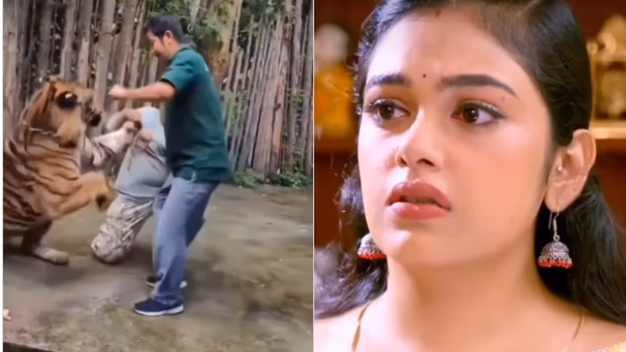 'ജീവനോടെ നാടെത്തിയത് വീട്ടുകാരുടെ പ്രാർത്ഥന കൊണ്ട്'; വീഡിയോയുമായി റബേക്ക സന്തോഷ് 'ജീവനോടെ നാടെത്തിയത് വീട്ടുകാരുടെ പ്രാർത്ഥന കൊണ്ട്'; വീഡിയോയുമായി റബേക്ക സന്തോഷ്