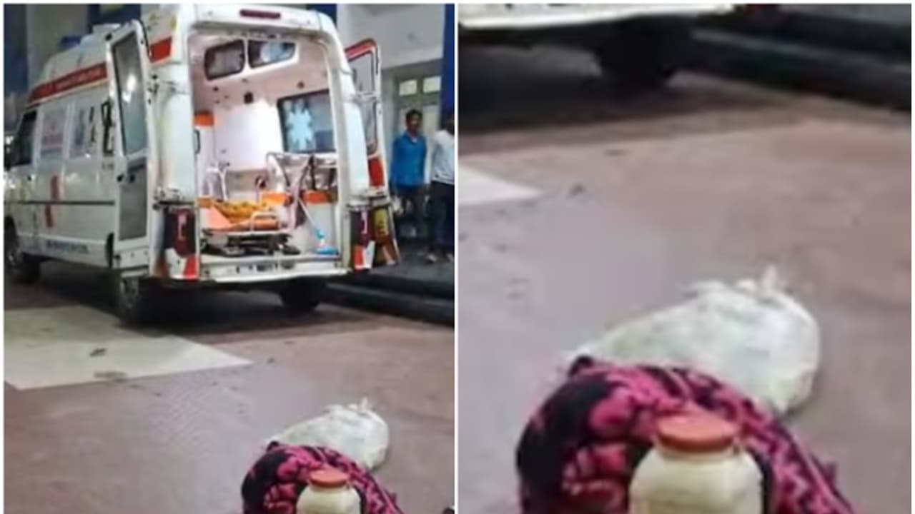 യുവാവിനൊപ്പം കടിച്ച മൂർഖനെയും പിടിച്ച് ആശുപത്രിയിലെത്തിച്ച് ബന്ധുക്കൾ, പരിഭ്രാന്തരായി രോഗികളും ഡോക്ടർമാരും യുവാവിനൊപ്പം കടിച്ച മൂർഖനെയും പിടിച്ച് ആശുപത്രിയിലെത്തിച്ച് ബന്ധുക്കൾ, പരിഭ്രാന്തരായി രോഗികളും ഡോക്ടർമാരും