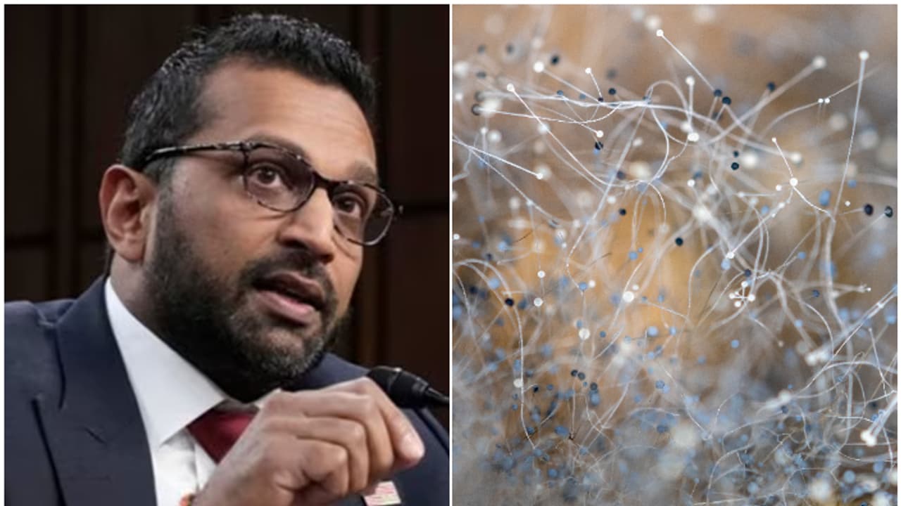 'കാമുകിയെ കാണാൻ വന്നപ്പോൾ അമേരിക്കയിലേക്ക് കടത്തിയത് മാരക നശീകരണ ശേഷിയുള്ള രോഗാണുവിനെ'; ചൈനക്കാർക്കെതിരെ നടപടി