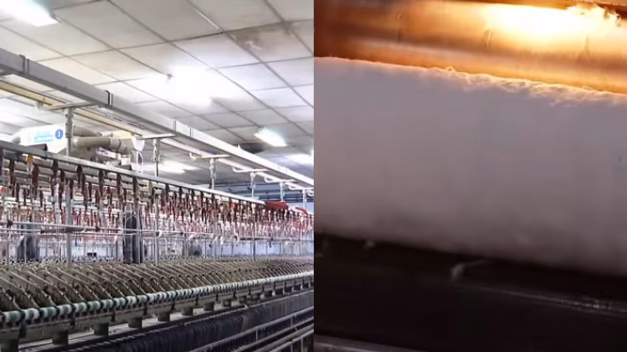 ഒടുവിൽ കറന്റ് വന്നു, മെഷീനുകൾ ഓടിത്തുടങ്ങി; വീണ്ടും തുറന്ന് കോട്ടയം ടെക്സ്റ്റെയിൽസ് സ്പിന്നിങ് മില്ല് 