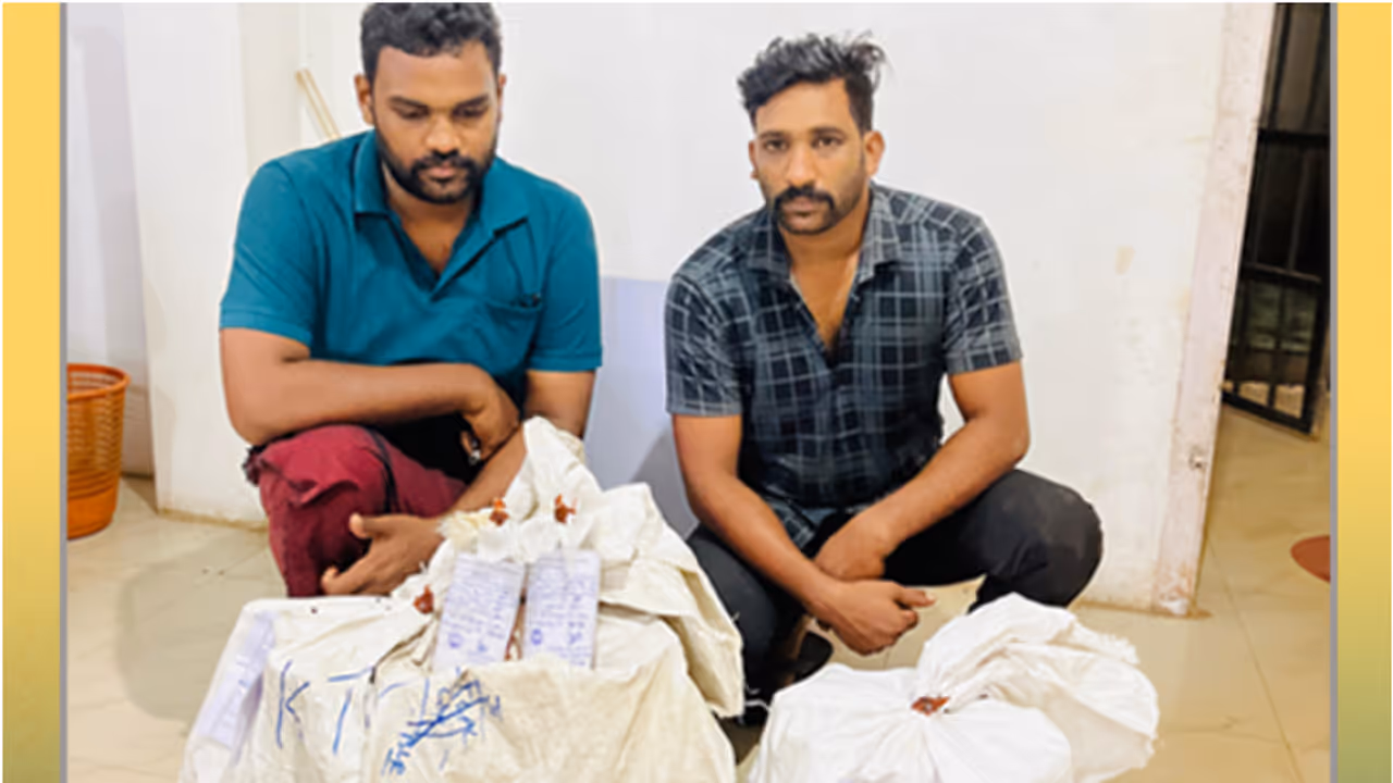 ഗുഡ്‌സ് കാരിയറിൽ കടത്തിക്കൊണ്ടുവന്നത് 28.25 ലിറ്റർ പുതുച്ചേരി മദ്യം; കൊല്ലം സ്വദേശികൾ പിടിയിൽ