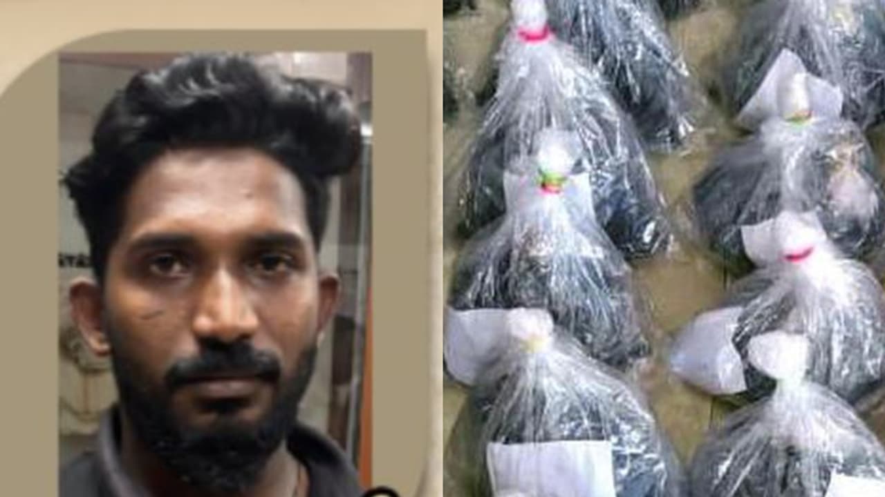 കൊടുങ്ങല്ലൂരിൽ 27കാരൻ ഗോകുൽ, ബൈക്കിൽ കറങ്ങി നടക്കും, സംശയം തോന്നി പൊക്കി; കിട്ടിയത് 34 ഗ്രാം ഹാഷിഷ് ഓയിൽ