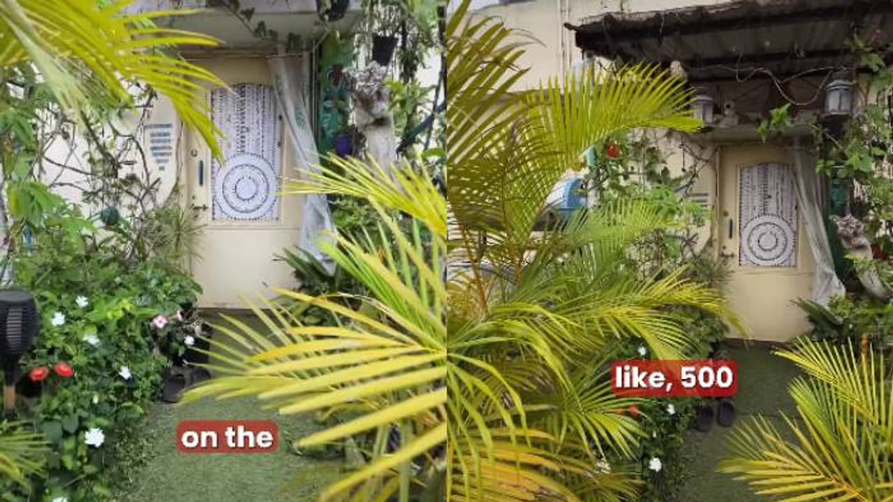 കാണുന്നവരെ അമ്പരപ്പിച്ച 12,000 രൂപയുടെ ആ വാടകവീട്, എങ്ങനെയിത് സാധിച്ചെന്ന് നെറ്റിസണ്‍സ്, 500 ലേറെ ചെടികൾ 