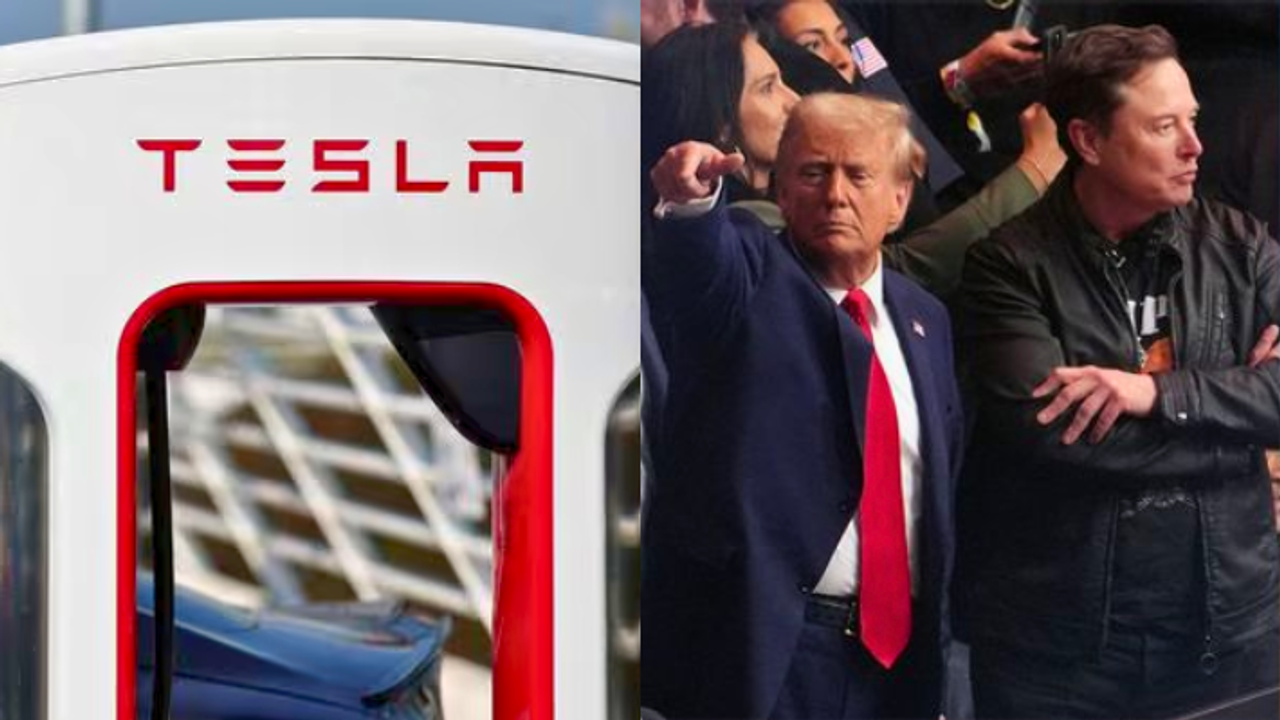 Will Elon Musk and Donald