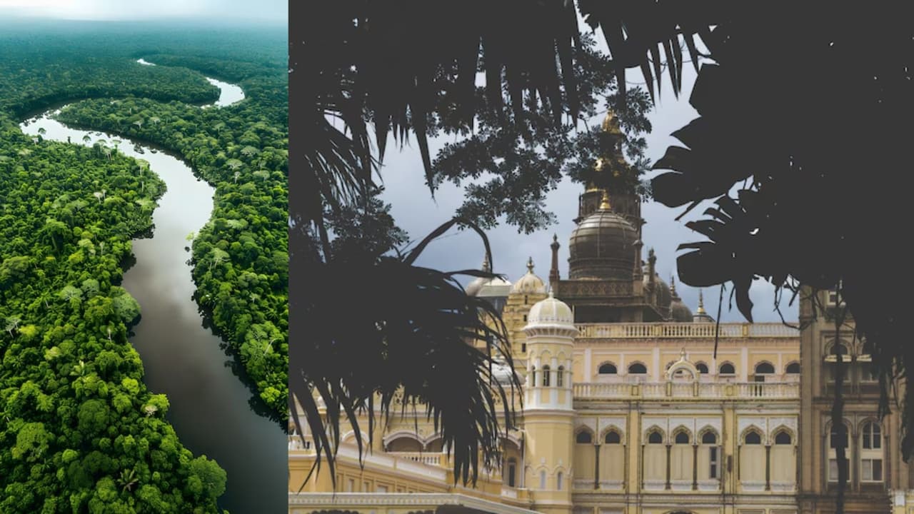 royal sundarban with city of joy rail package