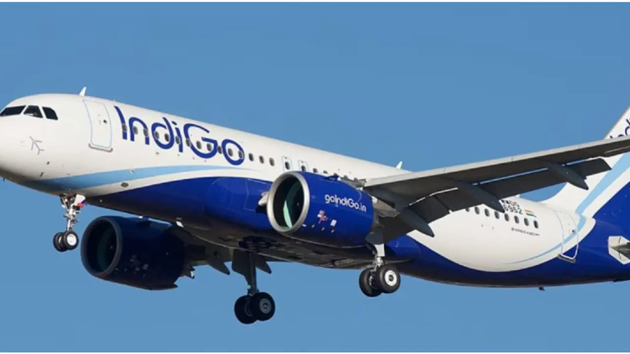 Indigo