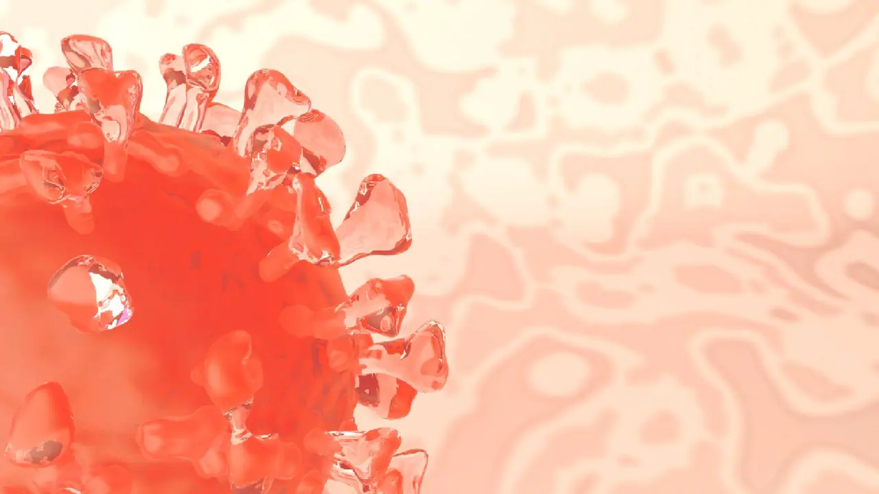 new variants nimbus new variants nimbus