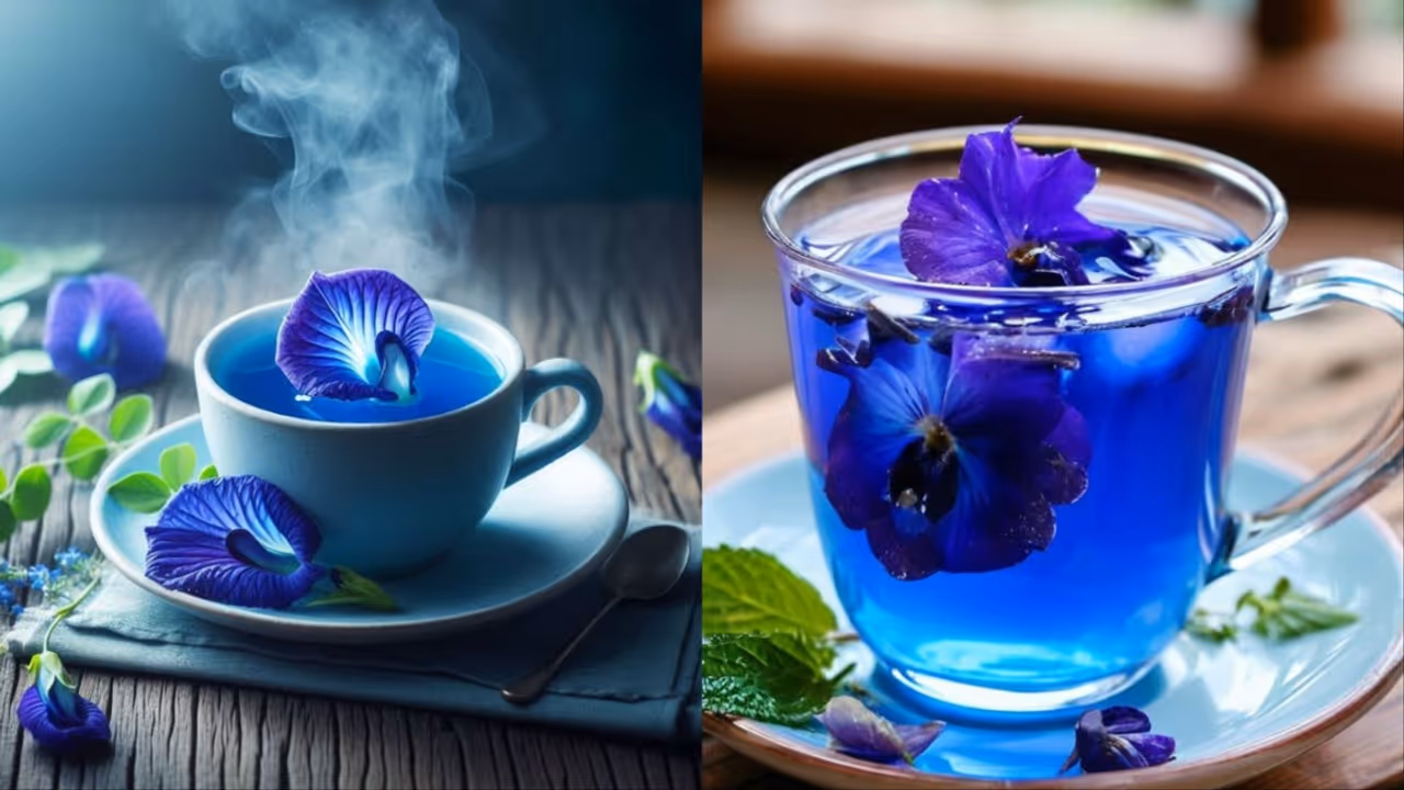 Aparajita flower tea benefits in hindi Aparajita flower tea benefits in hindi