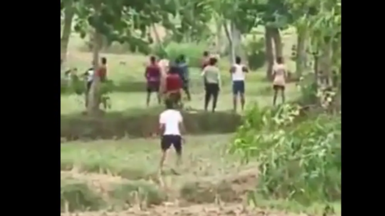 gondia forest viral video gondia forest viral video